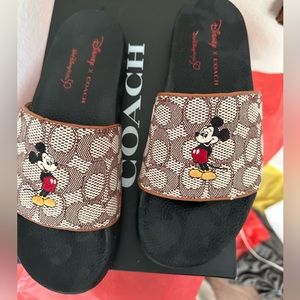 Coach Disney Slides
